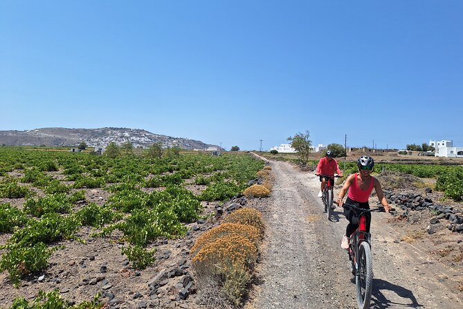 Santorini e-bike sunset tour experience - Tomato Industrial Museum: a surprising first stop