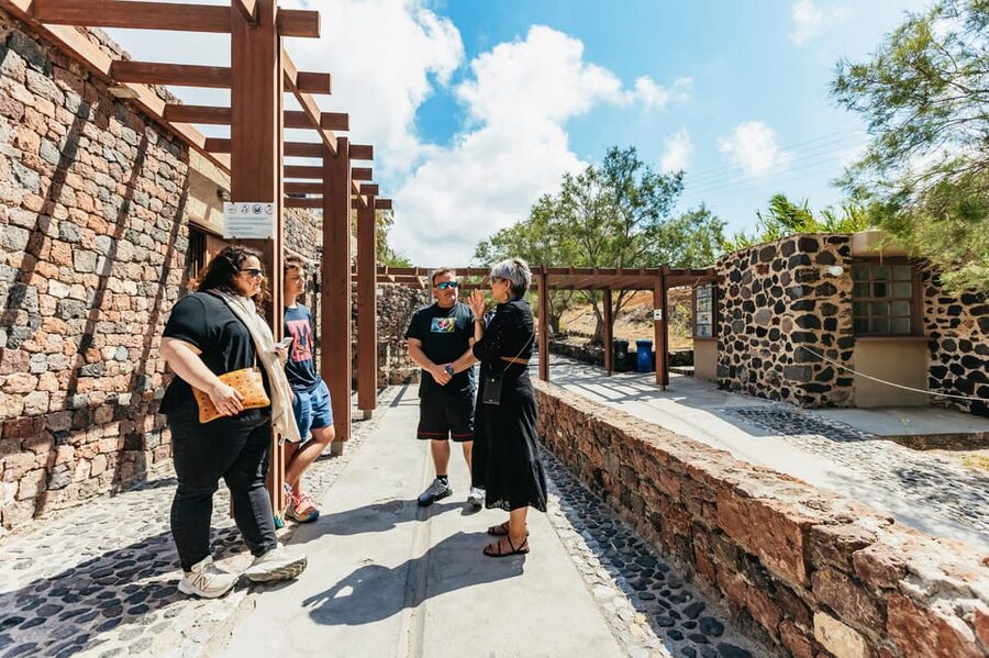 Santorini: Experience Akrotiri with a Licensed Tour Guide - Wall paintings explained through the guide’s photos