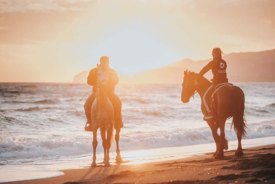 Santorini: Extreme Horse Safari with Beach Gallop - Key points you’ll care about