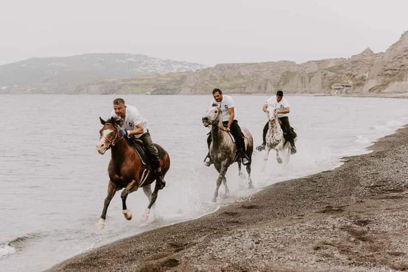 Santorini: Extreme Horse Safari with Beach Gallop - Megalochori Stables: The Starting Line for a Fast Ride