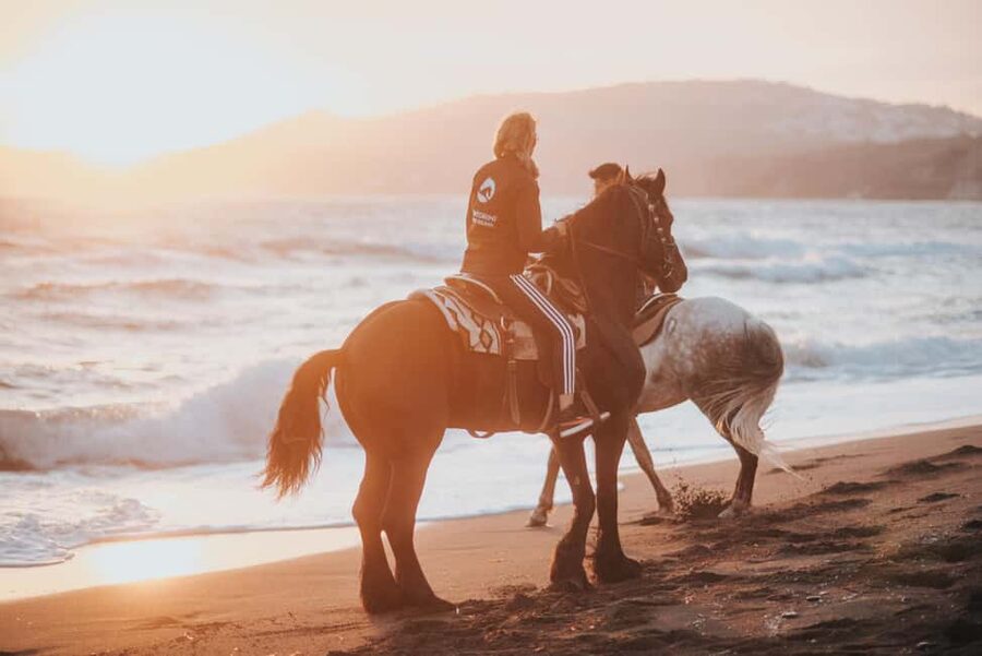 Santorini: Extreme Horse Safari with Beach Gallop - The Black-Sand Beach Gallop Across Santorini’s Volcanic Shore
