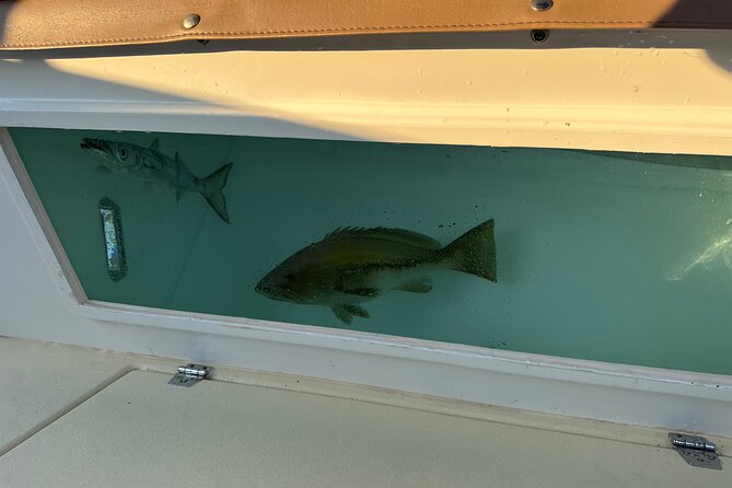 Santorini Fishing Private Cruise boat tour - BBQ, Snorkeling - Price and Value: Is $514.18 Per Person Worth It?