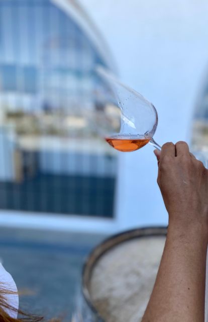 Santorini Fun day: Horseriding- Wine Tasting - Tapas - Why This South Santorini Horse Ride Feels Like a Proper Day Out