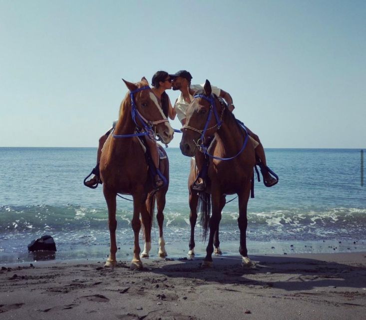 Santorini Fun day: Horseriding- Wine Tasting - Tapas - 1.5 Hours Horse Riding Along the Volcanic-Black Beach and Lava Terrain