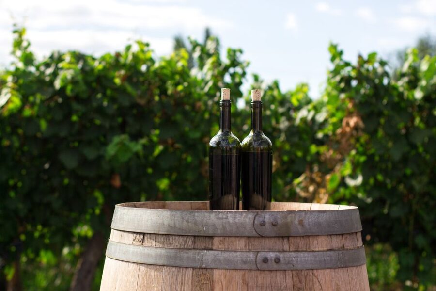 Santorini: Greek Cooking Class with Wine Tasting - In the kitchen: classic dishes you can really recreate