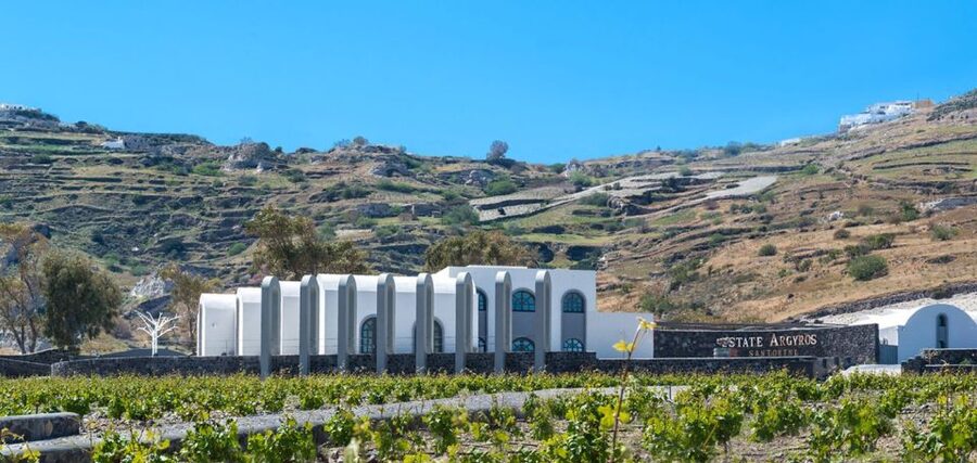 Santorini: Guided Wine Tour with Pickup and Snacks - The 5-Course Meal Upgrade: Food Pairing That Actually Teaches