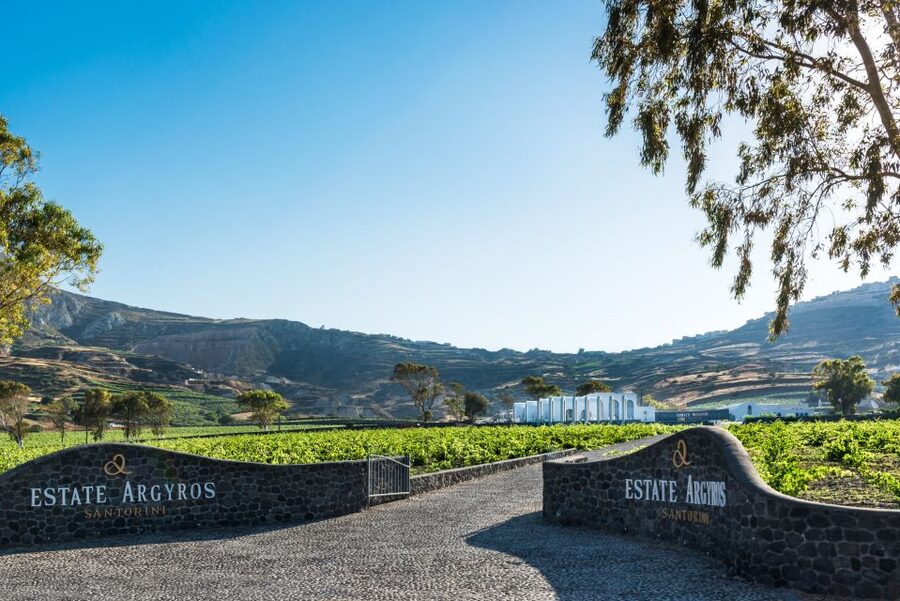 Santorini: Guided Wineries Private Tour with Wine Tastings - Price and logistics: does $194 per person feel fair?