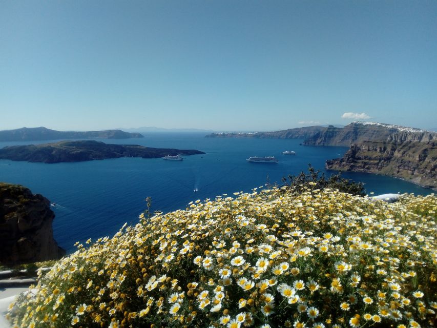 Santorini: Half-Day Sightseeing Tour with Hotel Pickup - Price and value: what $76 gets you in Santorini time