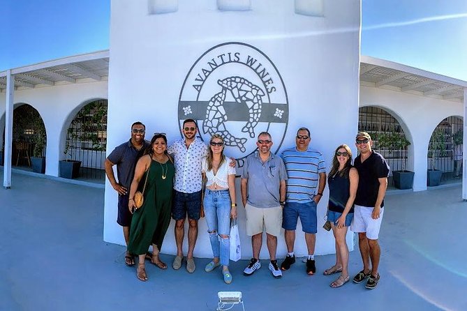 Santorini Half Day Wine Tasting & Winery Tour with Pickup - Key things I’d watch before booking