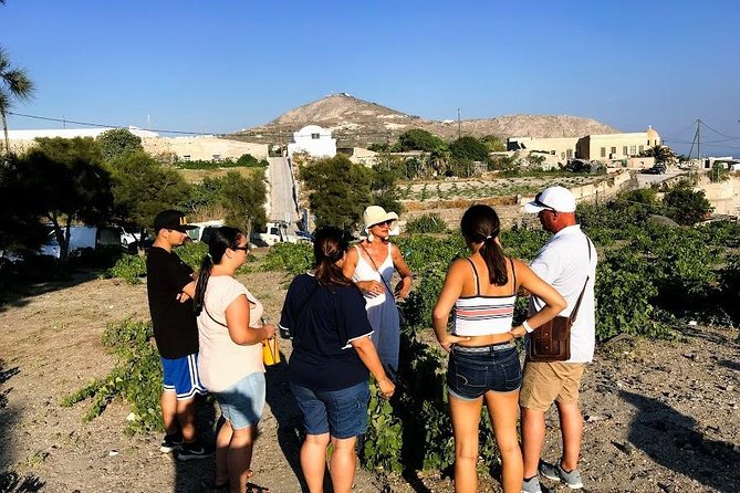 Santorini Half Day Wine Tasting & Winery Tour with Pickup - The included tastings, snacks, and what that means for your wallet
