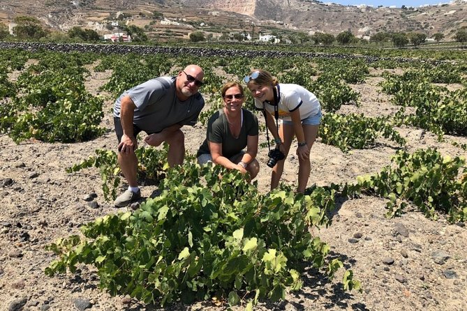 Santorini Highlights: 5-Hour Private Tour with Wine-Tasting - Price and value: is $325.84 per person worth it?