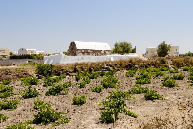 Santorini Highlights and Venetian Castles Small-Group Day Tour - Emporio’s preserved Venetian castle: medieval trade vibes