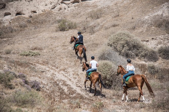 Santorini Horse Riding to Black Sandy Beach - Should you book Santorini Horse Riding to Black Sandy Beach?