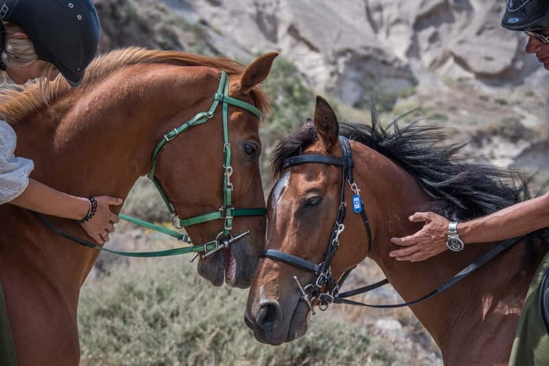 Santorini: Horse Riding Trip to Black Sandy Beach - What to bring (and what to skip) so the ride feels good