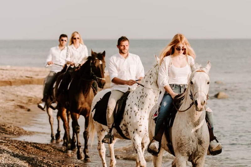 Santorini: Horseback Riding on the Black Sandy Eros Beach - Horses and Guides: The Key to a Calm, Beginner Ride