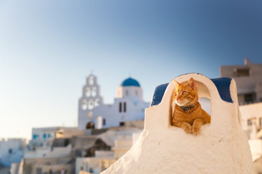 Santorini: Instagram Highlights Tour - Blue Dome church viewpoints and the volcanic look of Santorini
