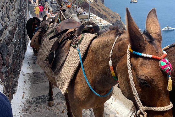 Santorini: Local Life Full Day Tour - Family winery tasting: wine and cheese, your way to pace