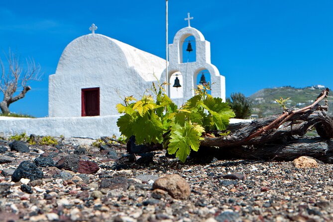Santorini Local Wineries Tour - A 4:00 pm wine crawl designed for an easy Santorini evening