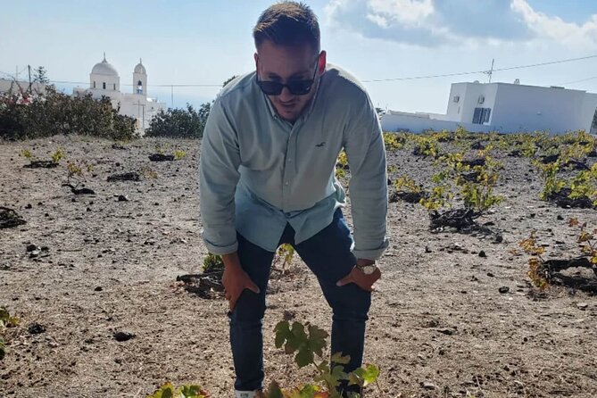Santorini: Must-See & Winery Visit Private Tour - Gavalas Winery tasting: four sips, family stories, and a view