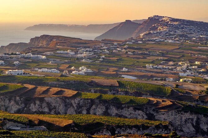 Santorini Popular Destinations - The big choice: Akrotiri excavation site or a wine farm