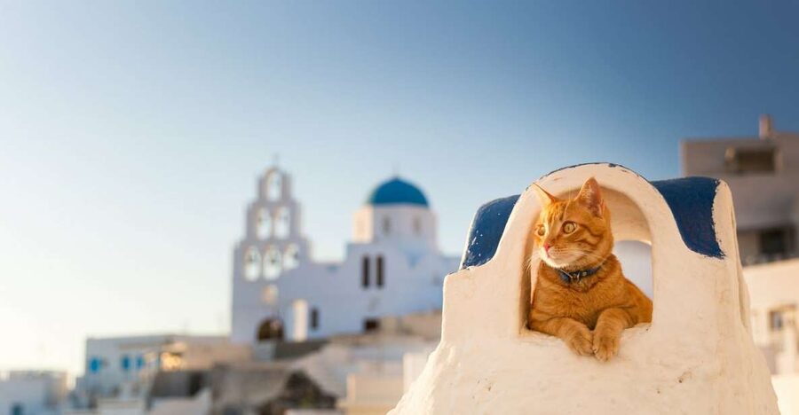Santorini: Private 4-Hour Chauffeur Service - What You’re Really Paying For: a Private Driver-Guide That Saves Time