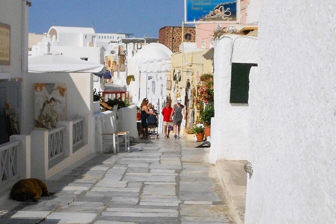 Santorini Private Custom Tour for Cruise & Hotel Guests - Megalochori: A Real Village Break from the Main Circuit
