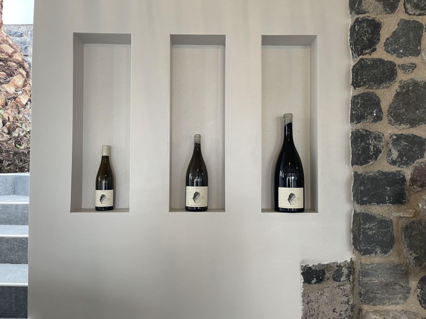 Santorini Private Daytime Wine Tour with Certified Sommelier - The Anhydrous Cellar Door: what without water means