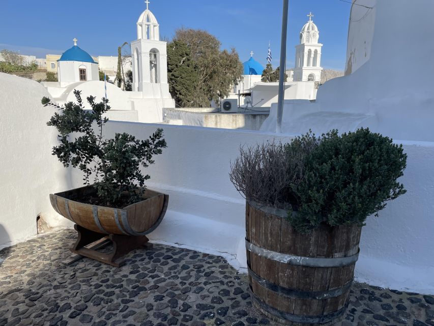 Santorini Private Daytime Wine Tour with Certified Sommelier - Your sommelier makes the day: names worth knowing
