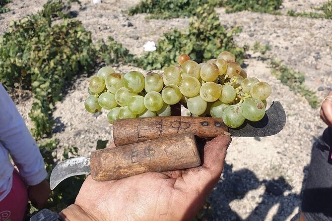 Santorini Private Highlights Tour & Wine Tasting with local guide - Value and price: what you really get for about $167.76 per person