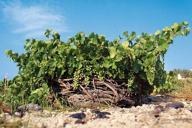 Santorini Private Highlights Tour & Wine Tasting with local guide - Stop-by-stop walkthrough: what you’ll see, how long you have, and what to watch for