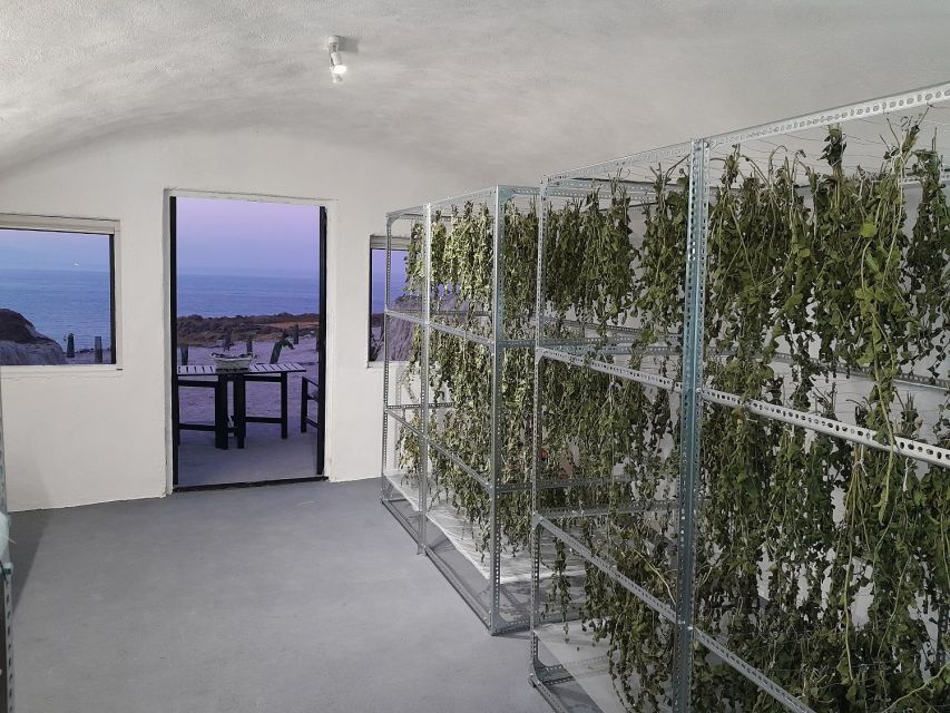 Santorini: Private Olive Oil tasting & Liqueur experience - Key highlights worth your attention