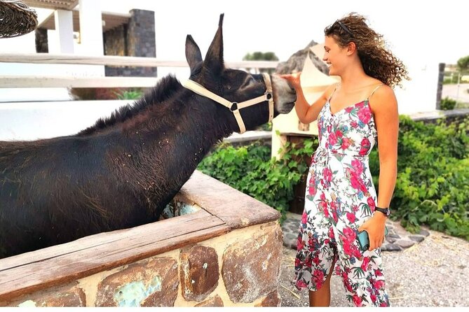 Santorini Private Tour 5hours Wine and local product tasting - Volcanic beaches stretch: Perissa black sand and Red Beach