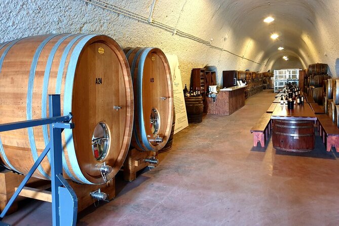 Santorini Private Wine Tasting Experience with private sommelier - Stop 1 in Santorini: the 12-label volcanic starter session