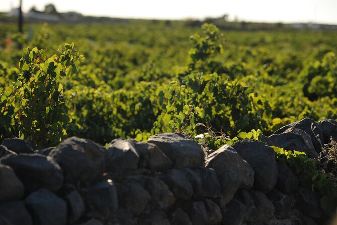 Santorini Private Wine Tour with Dinner & Oia Sunset - Pickup, timing, and why the pacing is the real value