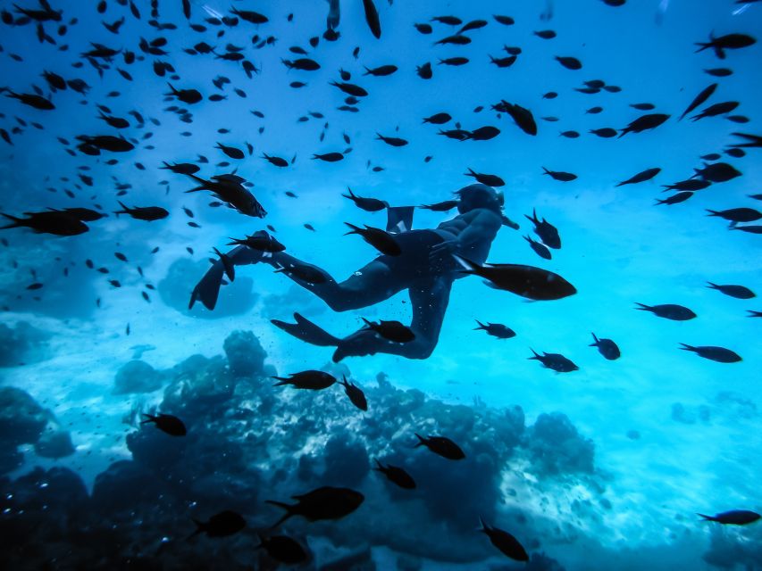Santorini: Scuba Diving Experience for Beginners - Key Points You’ll Care About
