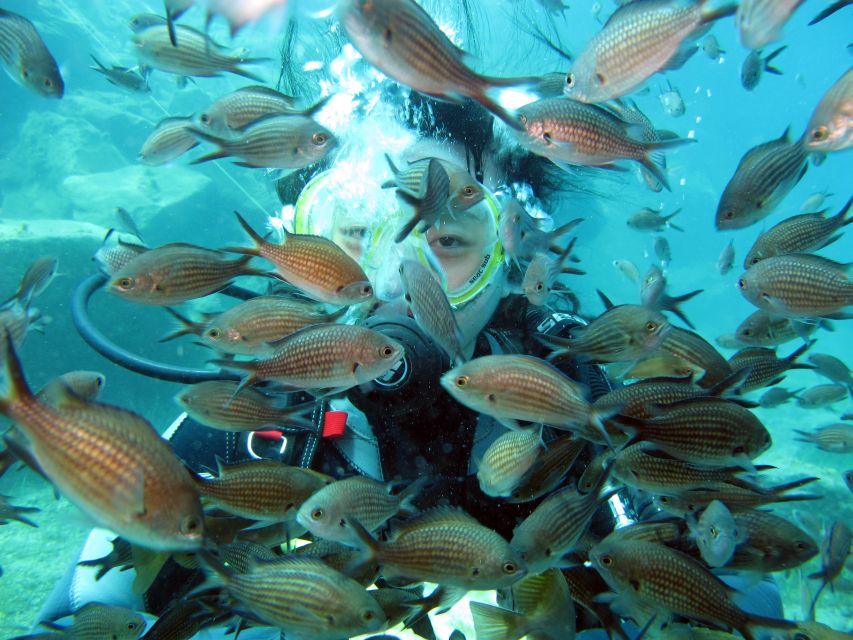 Santorini: Scuba Diving Experience for Beginners - Depth, Timing, and Why They Keep It at 12 Meters