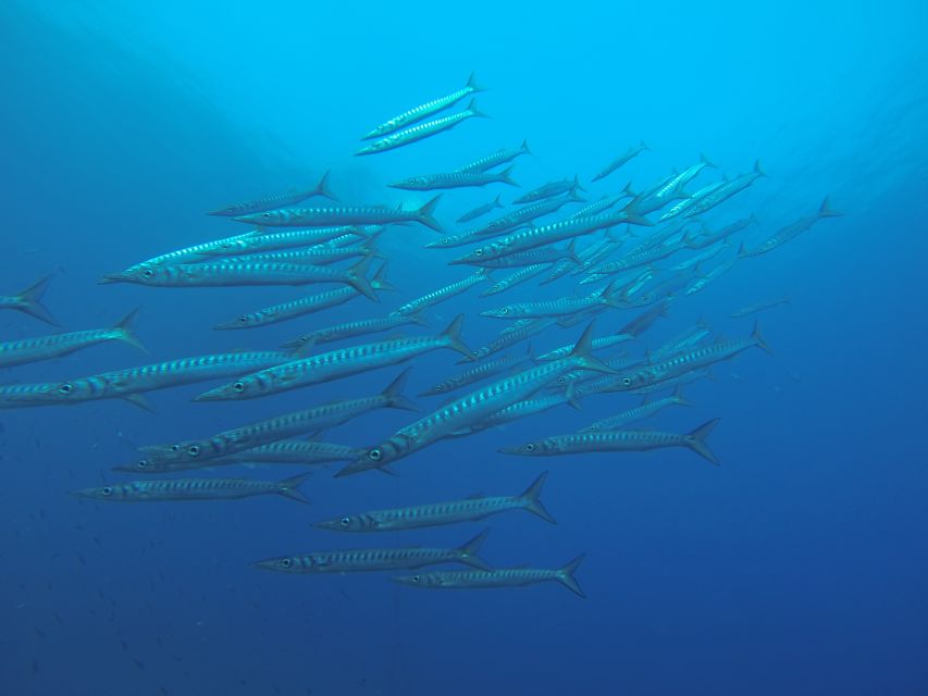 Santorini: Scuba Diving Experience for Beginners - What’s Included vs. What You Pay Extra For