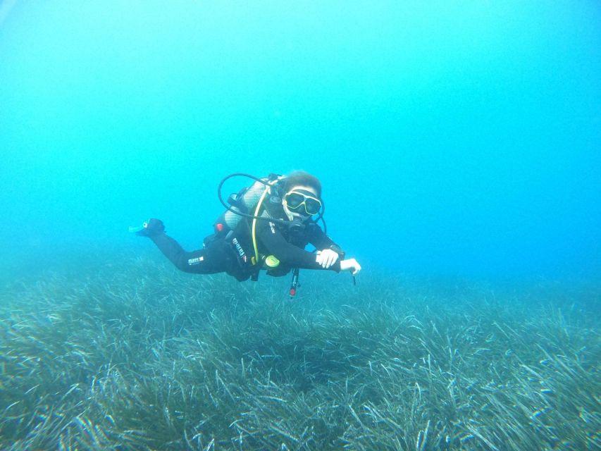 Santorini: Scuba Diving Experience in Caldera for Beginners - The volcanic reef route: what you’ll see and why it’s great for new divers