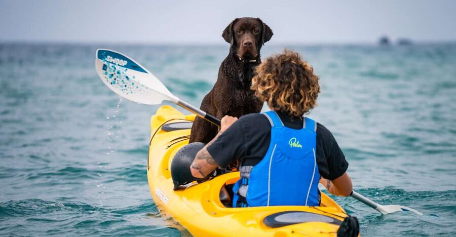 Santorini: Sea Caves Kayak Trip with Snorkeling and Picnic - Entering the day: pickup, training, and gear that keeps you sane