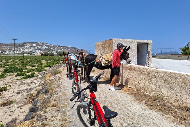 Santorini Small Group Guided E-bike Tour & Local Tomato Museum - Stop 3: Castelli of Emporio and the medieval village feel