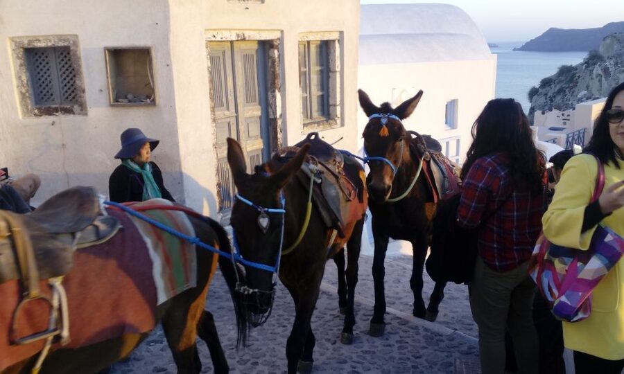 Santorini: Small-Group Highlights Tour of Venetian Castles - Firostefani: Blue Dome framing and Rock of Skaros views