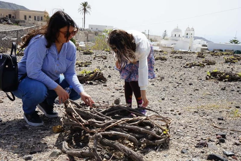 Santorini: Small Group Sightseeing Tour with a Local Guide - Perivolos Black Beach: one hour to swim or eat