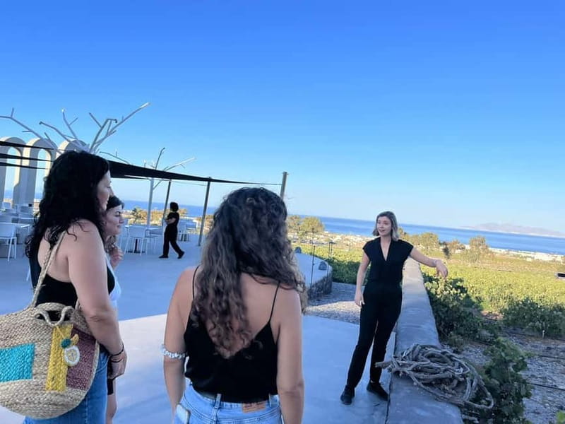 Santorini: Small Group Tour of 3 Local Wineries - Group size and timing: how to avoid feeling rushed