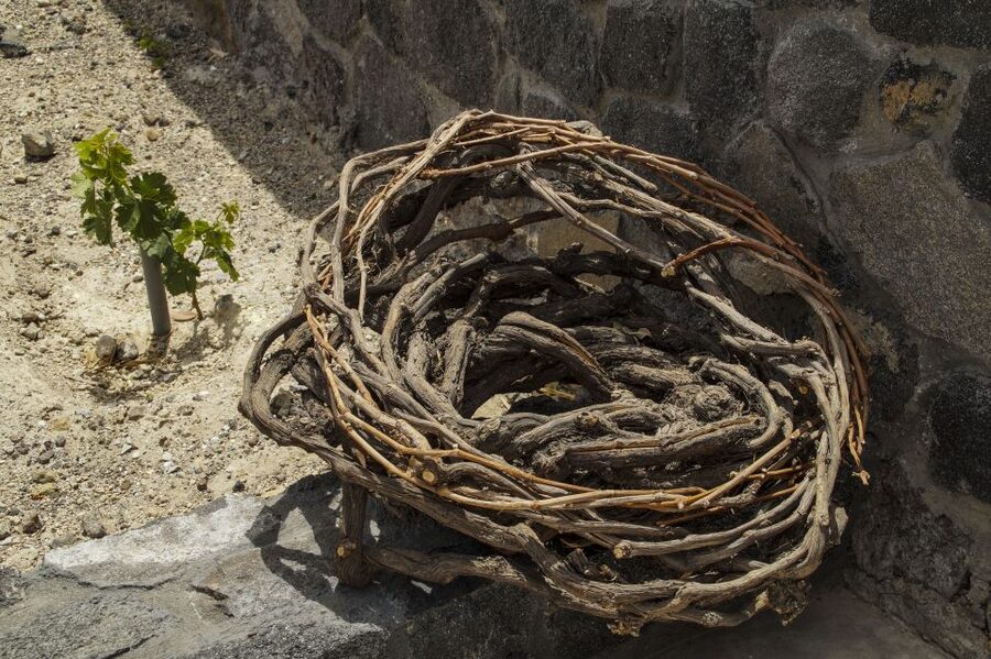 Santorini: Three Wineries and One Brewery Tour with Tastings - Exo Gonia at Art Space Winery: Art, Time, and Underground Cellars