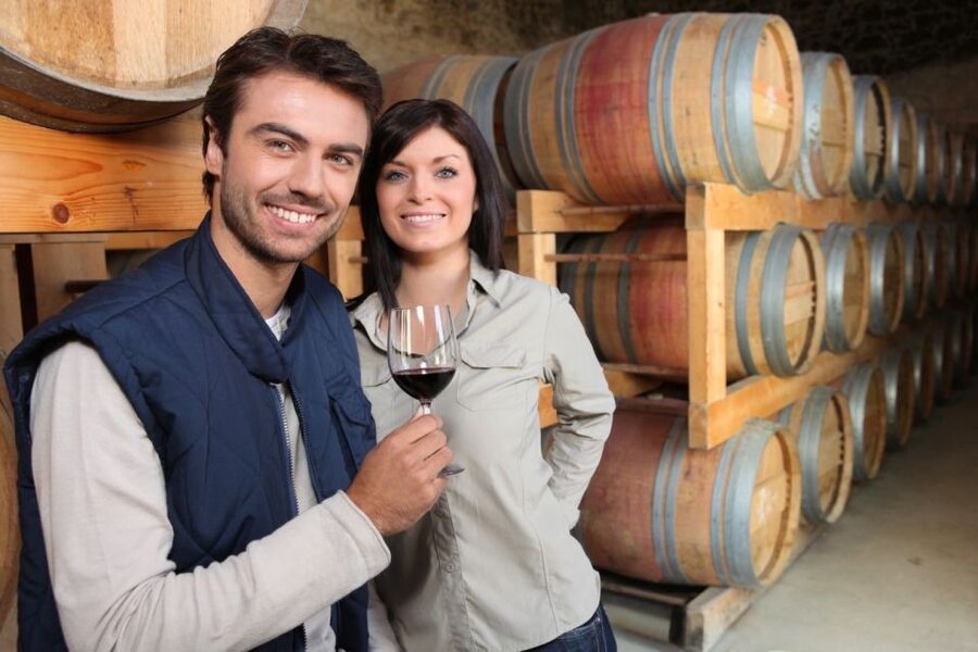 Santorini: Tour of Wineries with Wine Tasting & Food - Santorini’s volcanic terroir: why this tasting feels different
