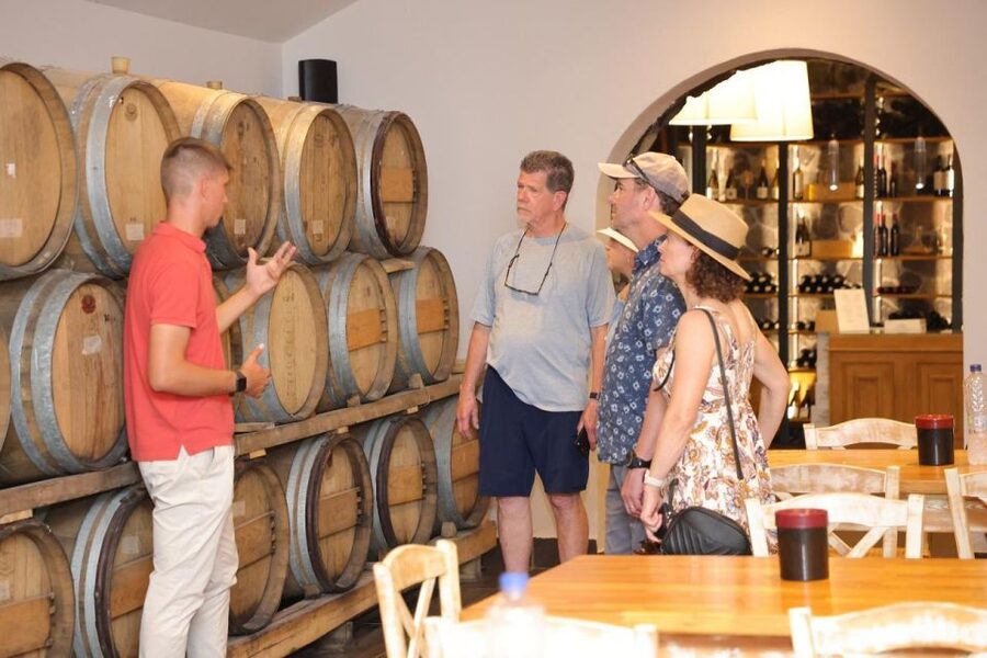 Santorini: Tour of Wineries with Wine Tasting & Food - Practical tips to get the most from your tasting day