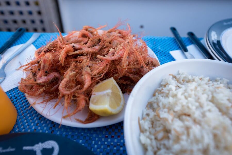 Santorini: Traditional Fishing Trip and Fresh Fish Lunch - How the Fishing Actually Works: Nets, Rods, Shrimp, and Octopus
