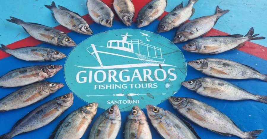 Santorini: Traditional Fishing Trip and Fresh Fish Lunch - From Hotel Pickup to a Traditional Wooden Fishing Boat