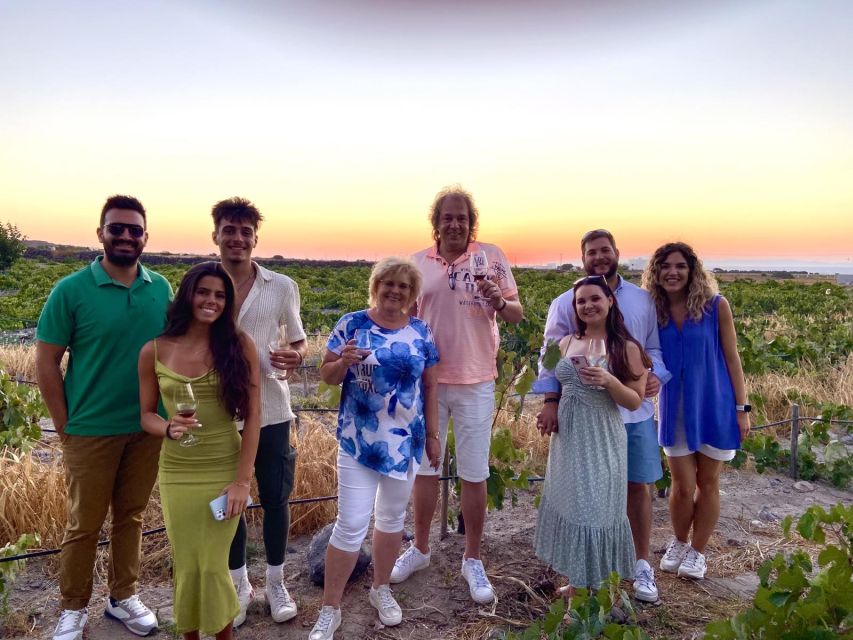 Santorini: Vineyard and Winery Tour with Cooking Class - Vineyard walk: learning Santorini viticulture where it actually happens