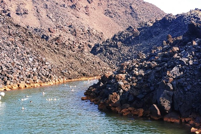 Santorini Volcanic Islands Cruise: Volcano, Hot Springs and Thirassia - Stop 1: Santorini Volcano crater hike and the payoff views